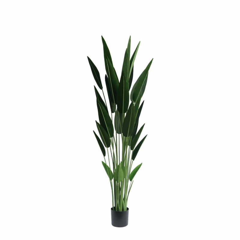 Plante décorative DKD Home Decor 80 x 80 x 180 cm Vert polypropylène Tropical