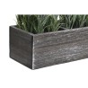 Plante décorative DKD Home Decor Bois Polyéthylène 32 x 14 x 19,5 cm (2 Unités)