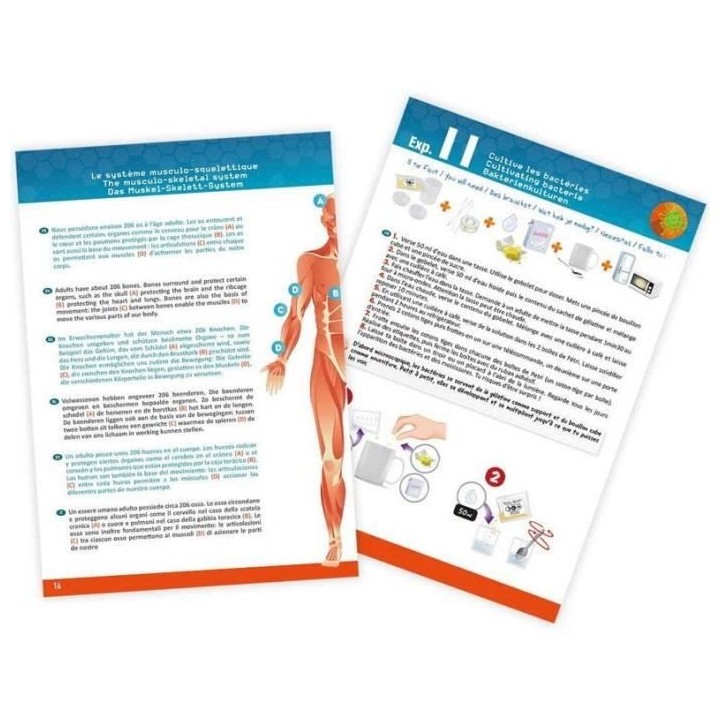 BUKI FRANCE Corps Humain