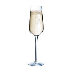 Coupe de champagne Chef & Sommelier 6 Unités Transparent verre (21 cl)