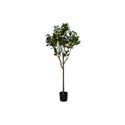 Arbre DKD Home Decor...