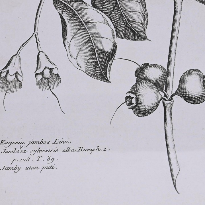 image imprimée ou numérique