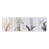 Cadre DKD Home Decor Verre Bouleau 55 x 70 x 2,5 cm 55 x 2,5 x 70 cm Fleurs (4 Pièces)