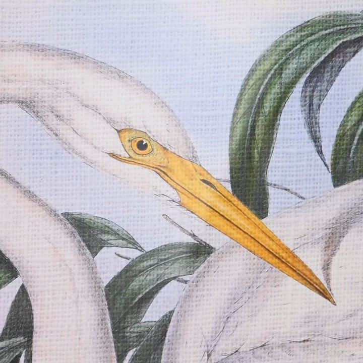 image imprimée ou numérique