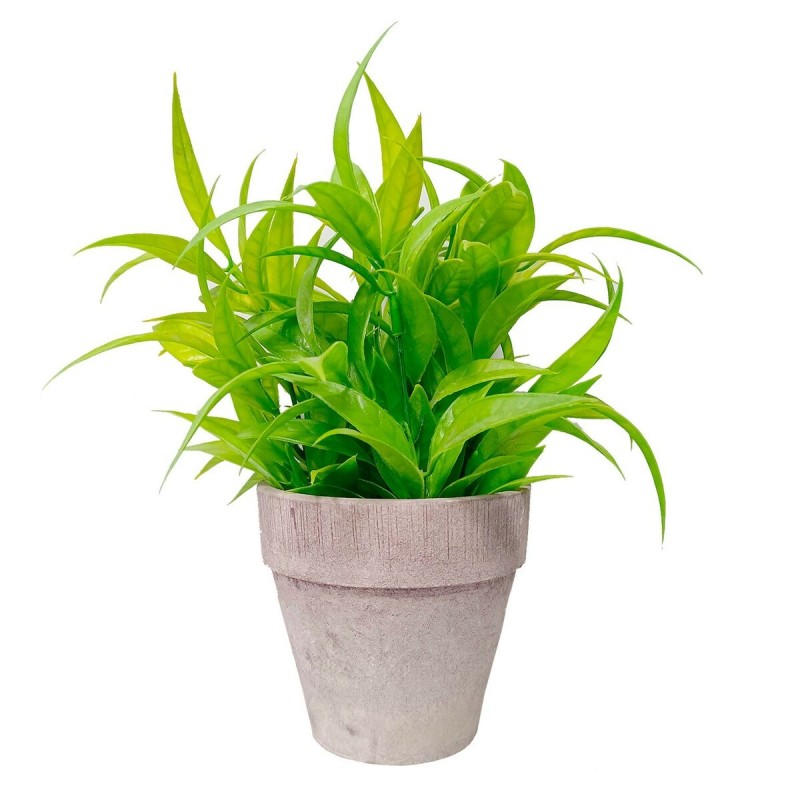 Plante décorative Versa Plastique Fer (10,5 x 23 x 10,5 cm)