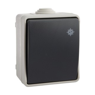 Carte postale microlorge