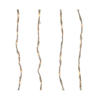 Carte postale microlorge