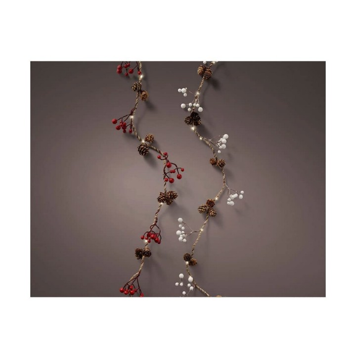 Carte postale microlorge