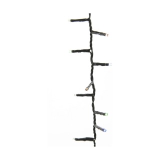 Carte postale microlorge