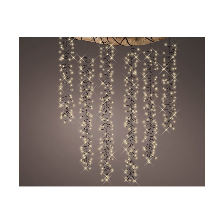 Carte postale microlorge