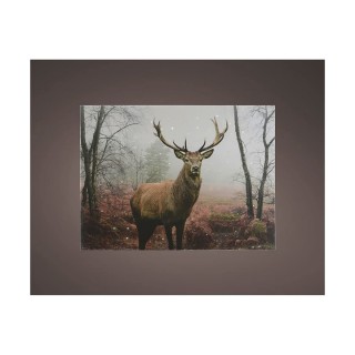 Carte postale microlorge