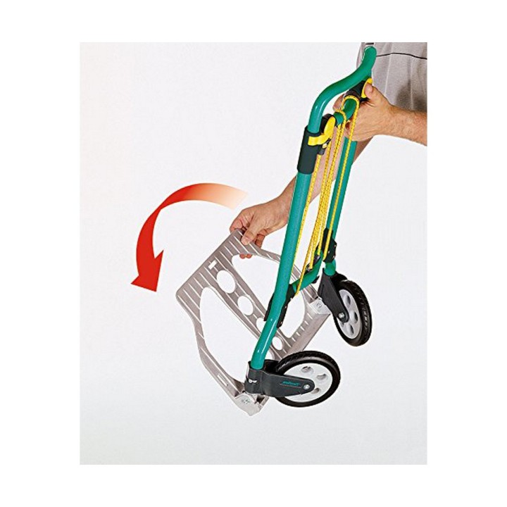 Carte postale microlorge