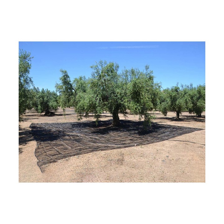 Carte postale microlorge