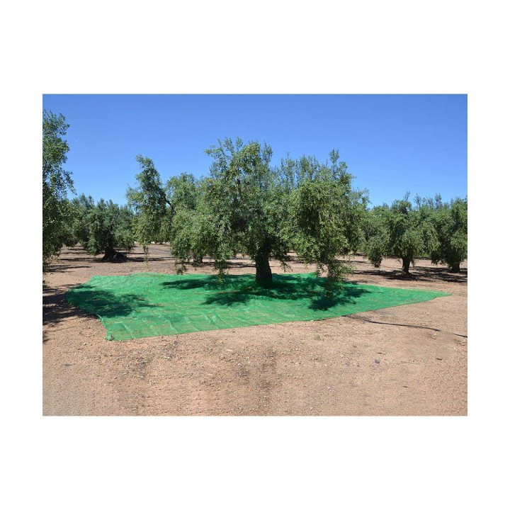 image imprimée ou numérique