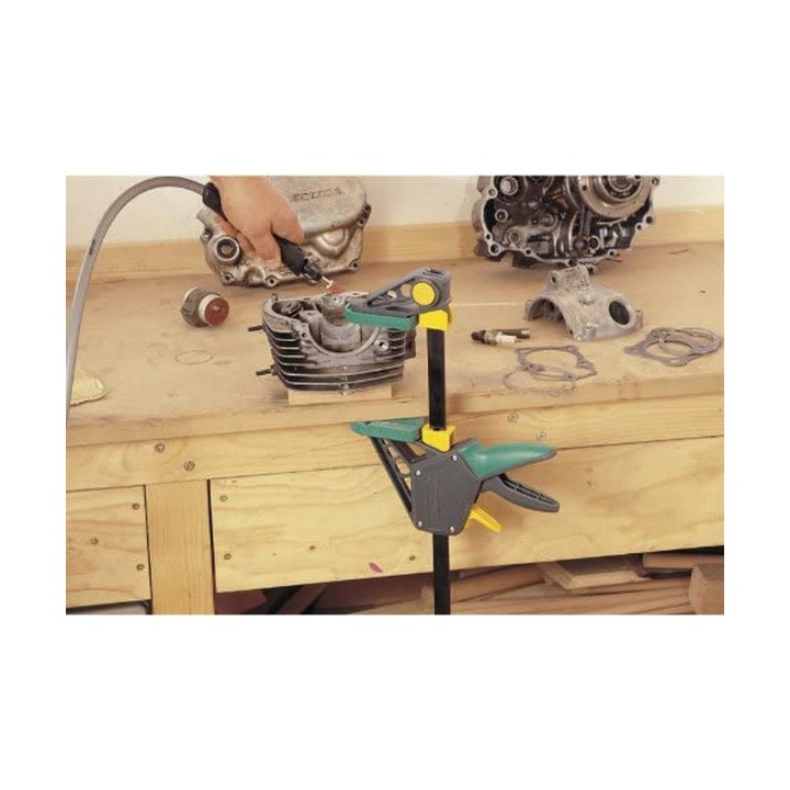 Carte postale microlorge