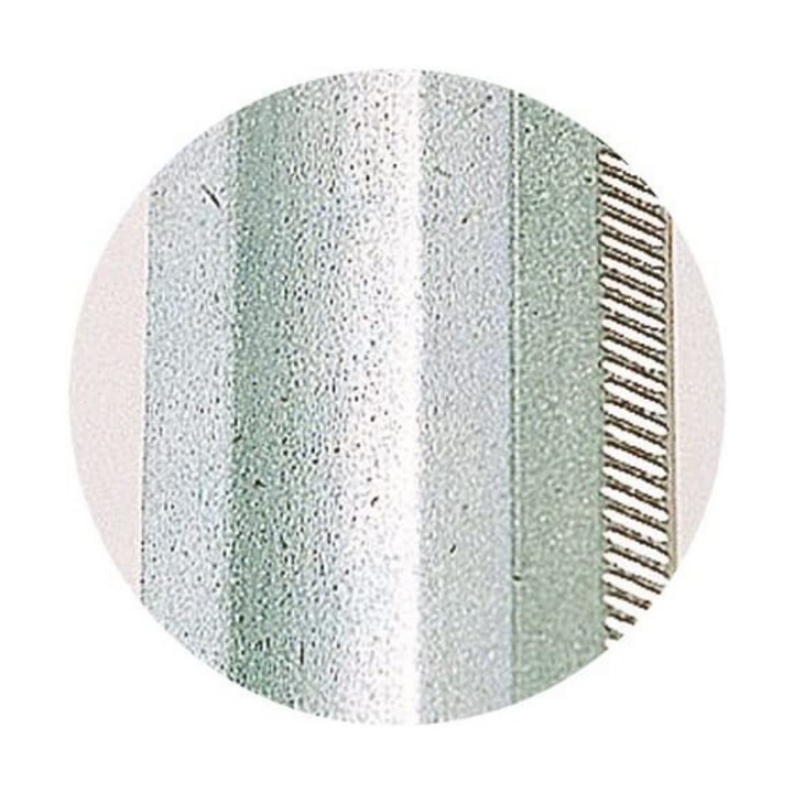 Carte postale microlorge