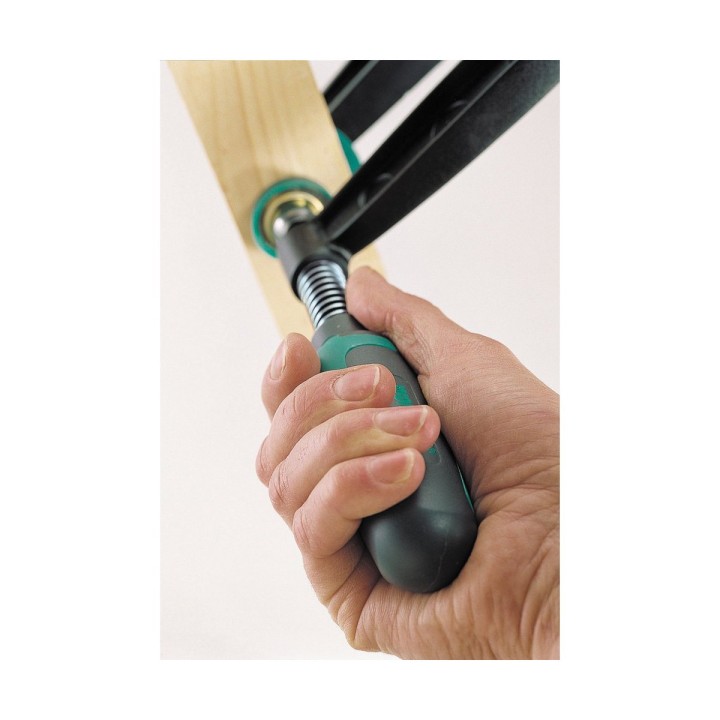 Carte postale microlorge