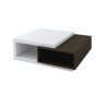 Table basse - Panneaux de particules - Noir et blanc - Style contemporain - 2 rangements - L 100 x P 95 x H 38 cm - KARAT