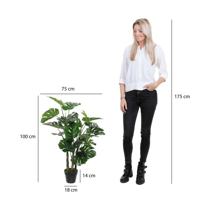 image imprimée ou numérique