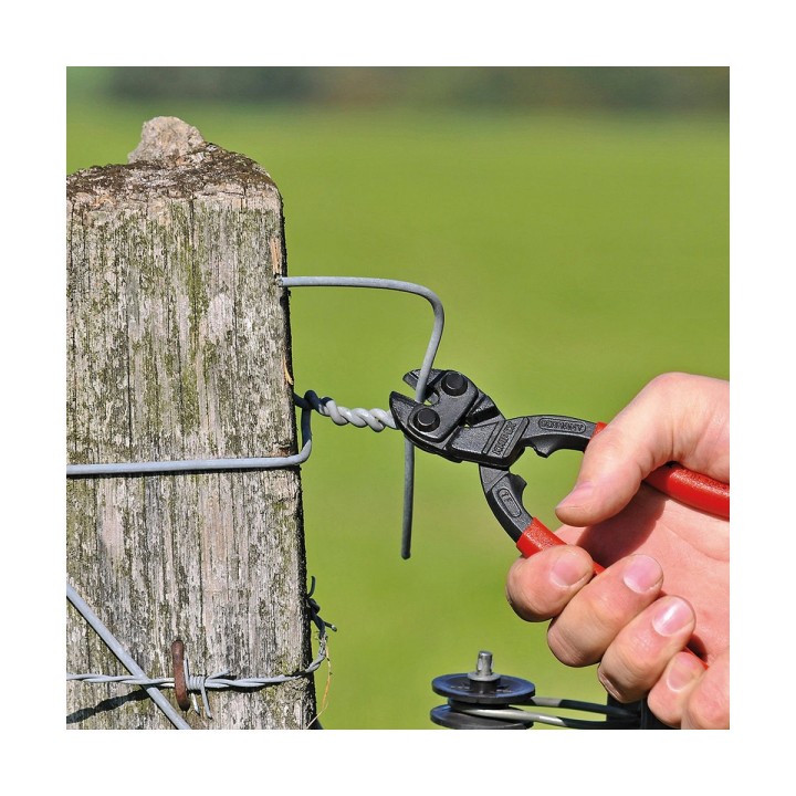 Carte postale microlorge