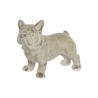 Figurine Décorative DKD Home Decor Finition vieillie Gris Résine Chien (19 x 39 x 28,5 cm)