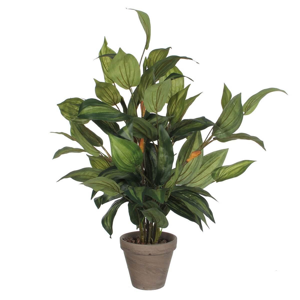 /306339/plante-decorative-mica-decorations-hosta-vert-pvc-15-5-x-65-cm.jpg