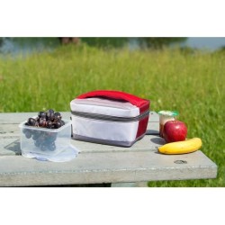 CAMPINGAZ Combo Glaciere Picnic MEDIUM + Freez' Box + Flexi Freez' Pack