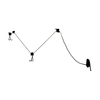 Carte postale microlorge