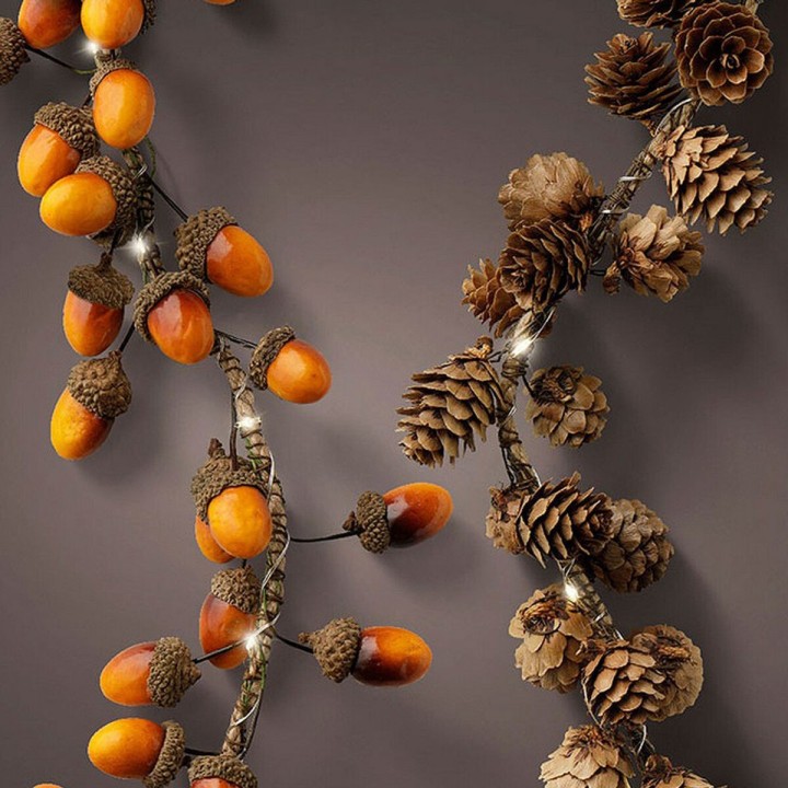 Carte postale microlorge