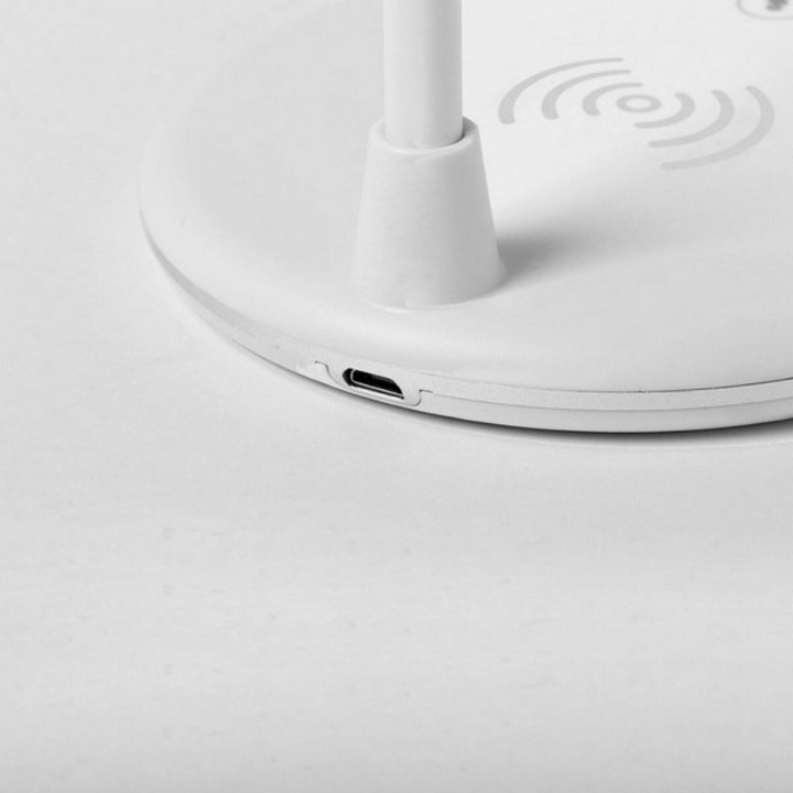 Carte postale microlorge