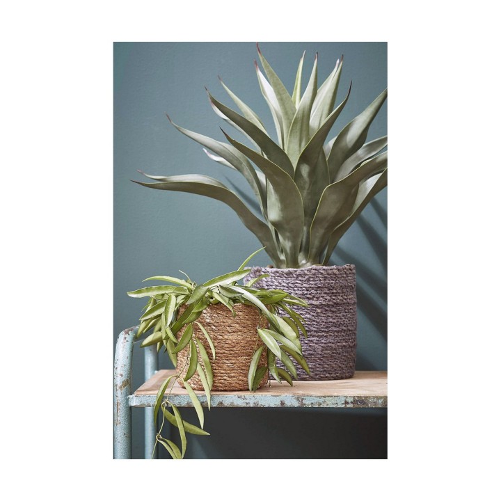 image imprimée ou numérique