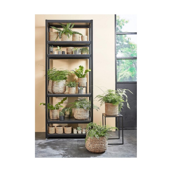 image imprimée ou numérique