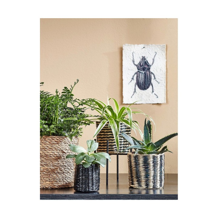 image imprimée ou numérique