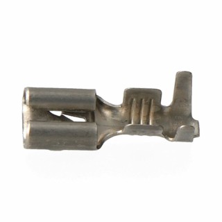 Carte postale microlorge