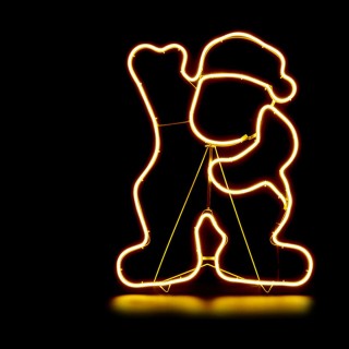 Carte postale microlorge