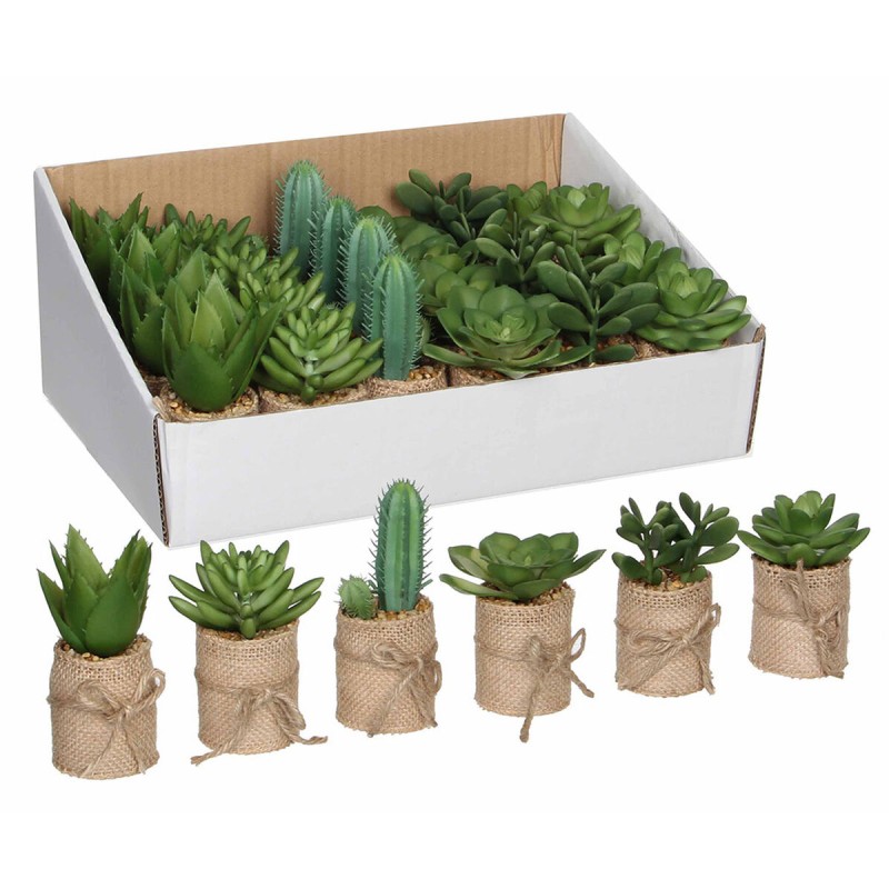 Plante décorative Mica Decorations Vert PVC Succulent