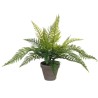 Plante décorative Mica Decorations 40 x 11,5 cm Céramique PVC Fougère