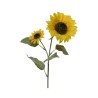 Bouquets Everlands 10 x 15 x 72 cm Tournesol