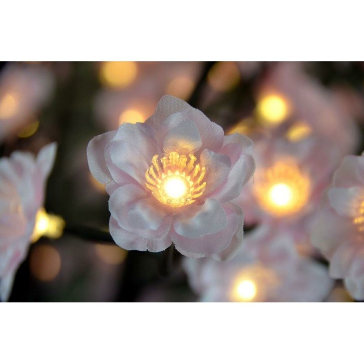 image imprimée ou numérique