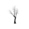 Arbre DKD Home Decor Blanc Métal (100 x 100 x 250 cm)