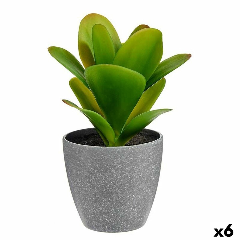 Plante décorative Plastique (6 Unités) (11 x 20 x 11 cm)