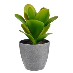 Plante décorative Plastique (6 Unités) (11 x 20 x 11 cm)