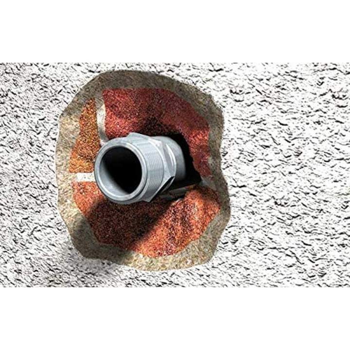 Carte postale microlorge