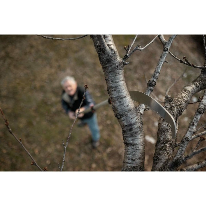 image imprimée ou numérique