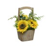 Plante décorative Everlands Pot 23 x 23 x 31 cm Tournesol