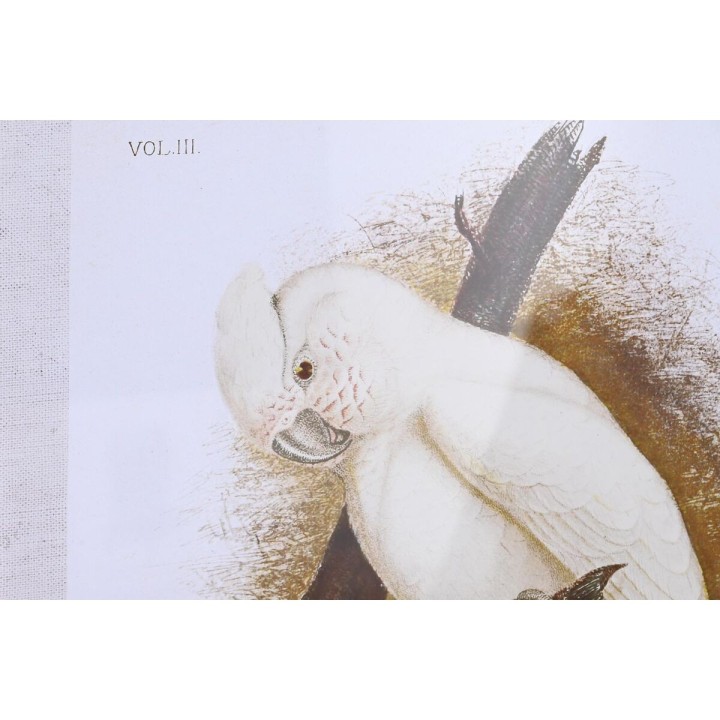 image imprimée ou numérique