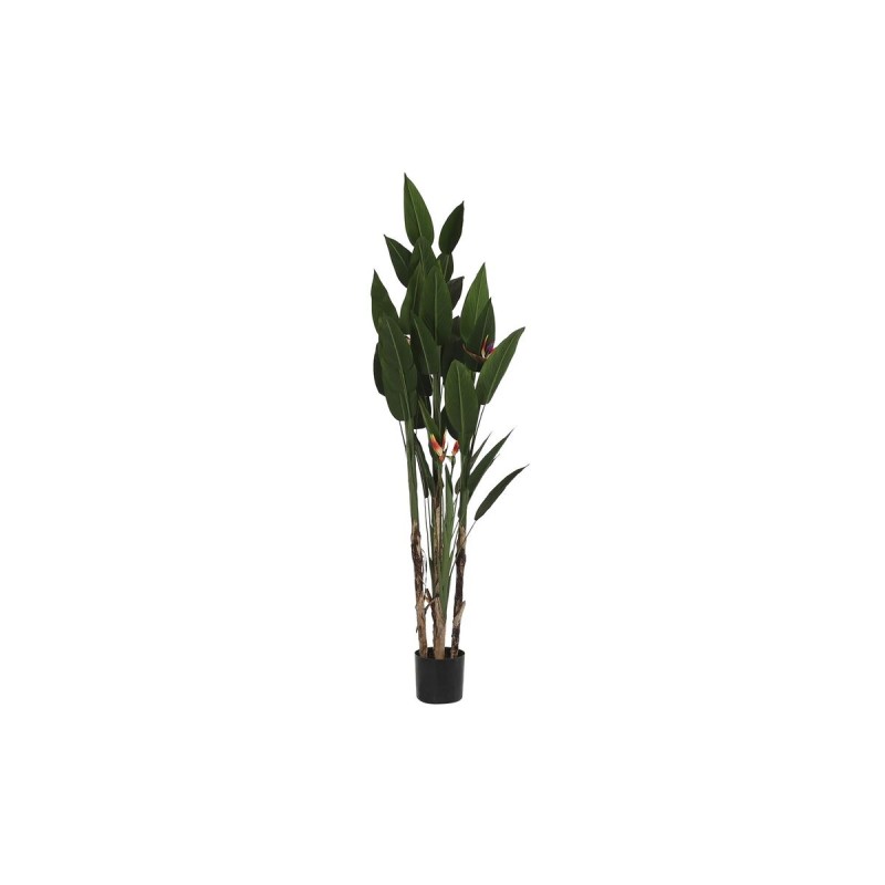 Plante décorative DKD Home Decor (90 x 90 x 200 cm)