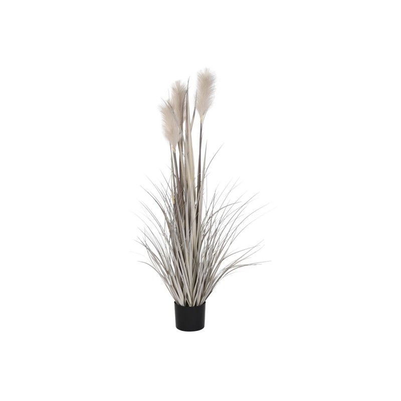 Plante décorative DKD Home Decor Plumeau (35 x 35 x 120 cm)