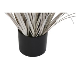 Plante décorative DKD Home Decor Plumeau (35 x 35 x 120 cm)