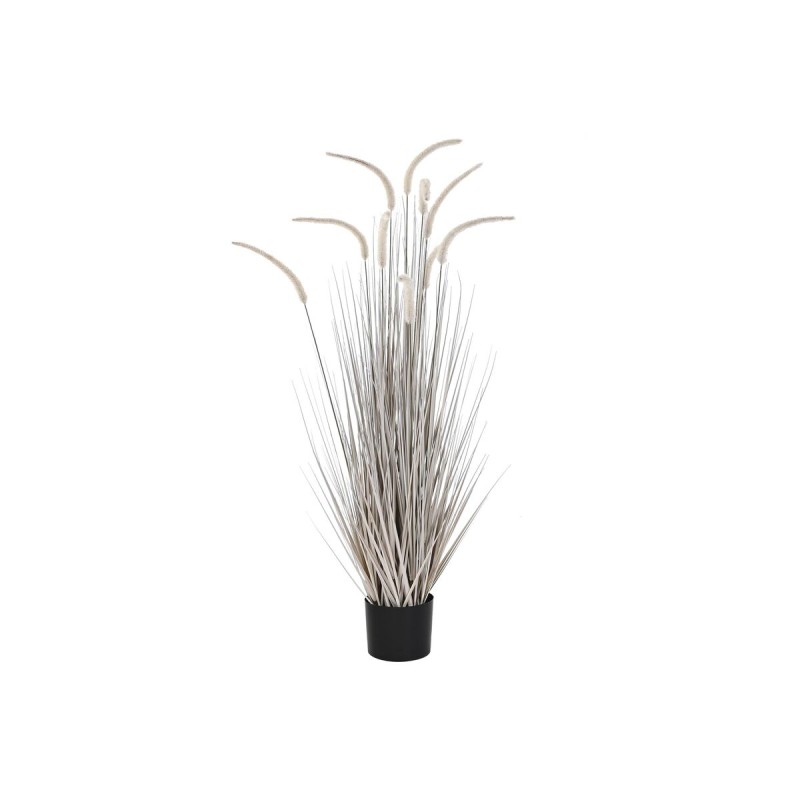 Plante décorative DKD Home Decor Gris clair (35 x 35 x 120 cm)